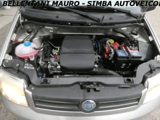 FIAT Panda usata 13