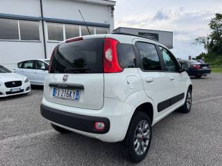FIAT Panda usata, con Airbag Passeggero