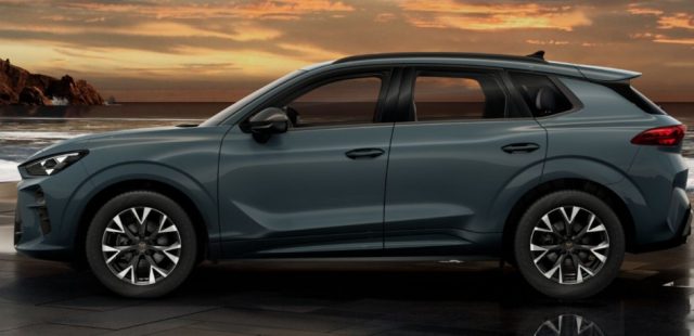 CUPRA Terramar usata, con Chiusura centralizzata