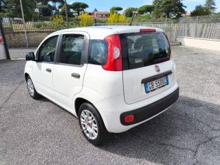 FIAT Panda usata 3