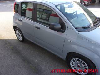 FIAT Panda usata, con Autoradio