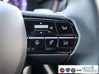 ALFA ROMEO Junior usata, con Fendinebbia