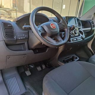 FIAT  usata 11