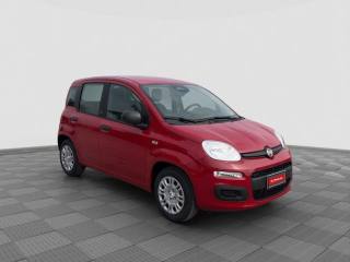 FIAT Panda usata 6