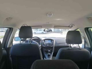 FORD Focus usata, con Bracciolo