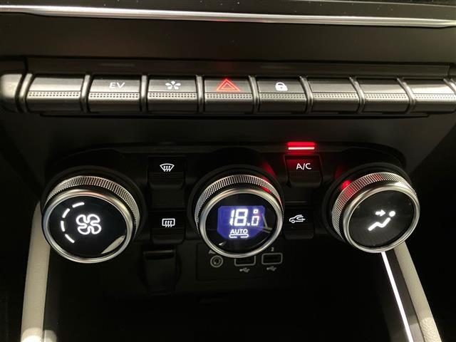 RENAULT Clio usata 20