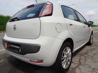 FIAT Punto Evo usata, con Antifurto