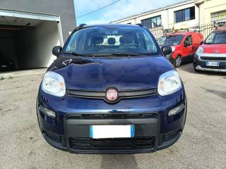 FIAT Panda usata 2