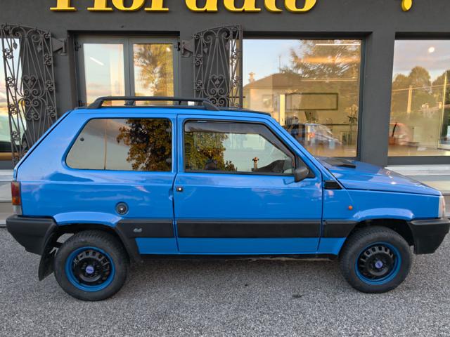 FIAT Panda usata, con Trazione integrale