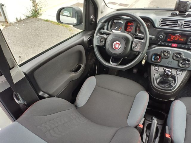 FIAT Panda usata, con Cronologia tagliandi