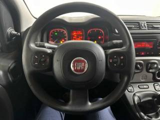 FIAT Panda usata 12