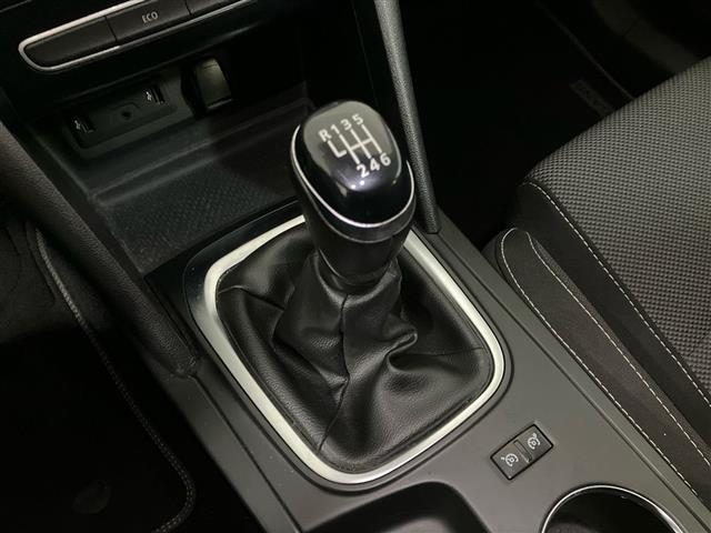 RENAULT Megane usata 21