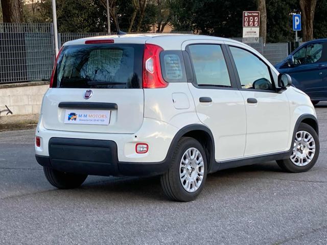 FIAT Panda usata, con Antifurto