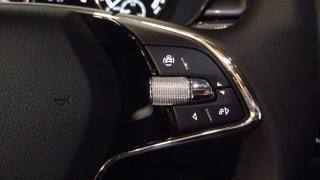 SKODA Fabia usata, con ESP