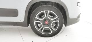 FIAT Panda usata 36