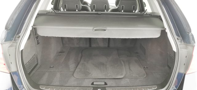 BMW 318 usata, con Fendinebbia