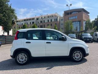 FIAT Panda usata, con Alzacristalli elettrici