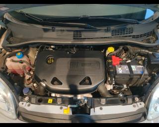 FIAT New Panda usata 22
