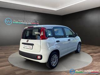 FIAT Panda usata, con Autoradio