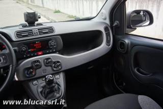 FIAT Panda usata, con ESP