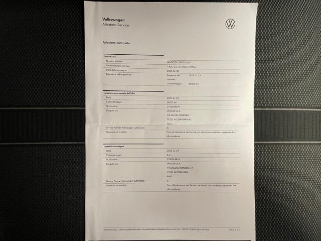 VOLKSWAGEN T-Roc usata, con Bracciolo