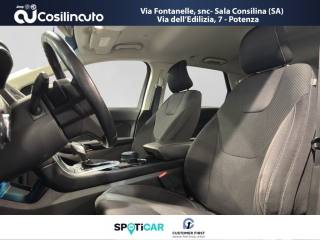FORD Edge usata, con Climatizzatore