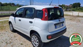 FIAT Panda usata, con Controllo trazione