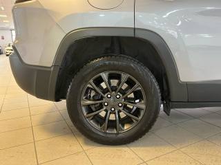 JEEP Cherokee usata, con Cruise Control