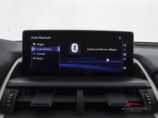 LEXUS NX 300h usata 14