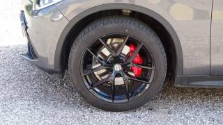 ALFA ROMEO Stelvio usata, con Vetri oscurati