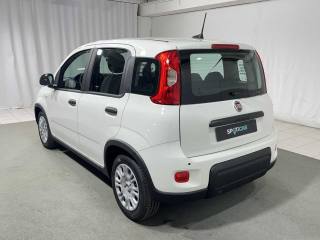 FIAT Panda usata, con Airbag Passeggero