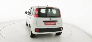FIAT Panda usata 30
