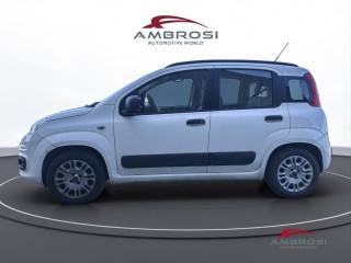 FIAT Panda usata 5