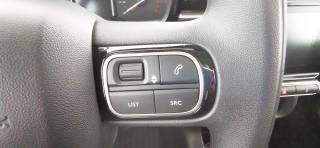 CITROEN C3 usata 49