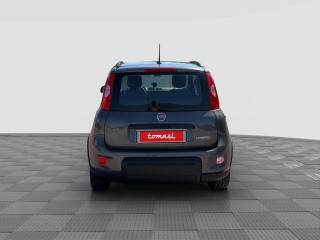 FIAT Panda usata 3