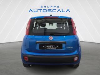 FIAT New Panda usata, con Alzacristalli elettrici