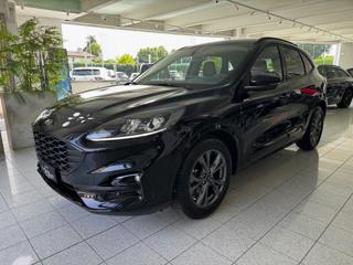 FORD Kuga 2.0 EcoBlue 120 CV aut. 2WD ST-Line - VARI COLORI!