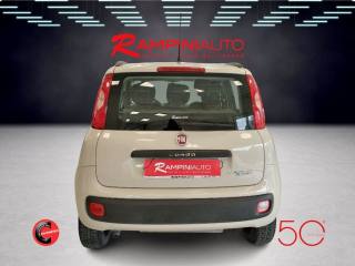 FIAT Panda usata 8