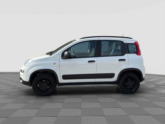 FIAT Panda usata 1