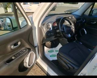 JEEP Renegade usata, con Fendinebbia
