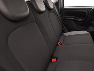 FIAT Panda usata 21