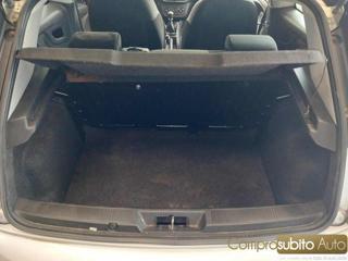 FIAT Punto Evo usata 18