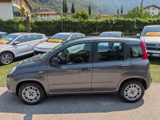 FIAT Panda usata, con Airbag
