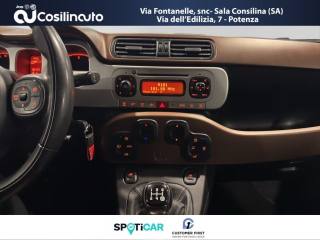 FIAT Panda Cross usata, con Fendinebbia