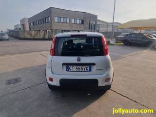 FIAT Panda usata, con Climatizzatore
