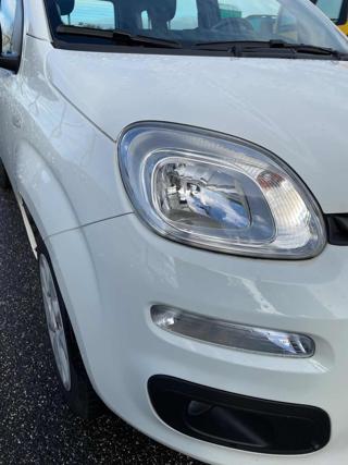FIAT Panda usata 17