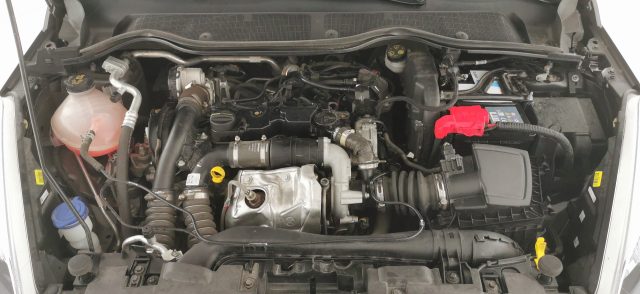 FORD Fiesta usata 55