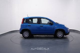 FIAT Panda usata, con Climatizzatore