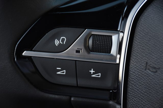 PEUGEOT 2008 usata, con Vetri oscurati