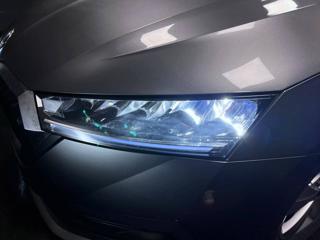 SKODA Octavia usata, con Fendinebbia